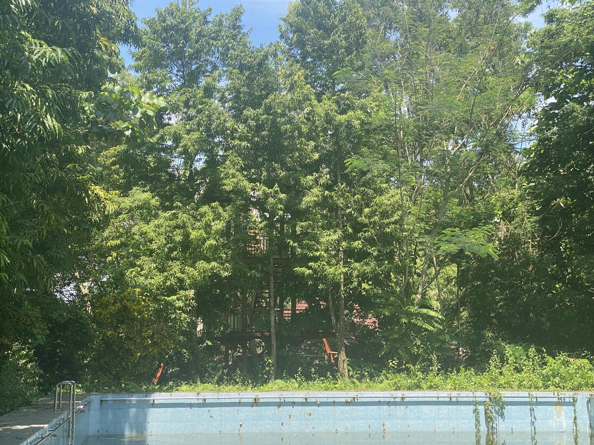 Sewa Aset Lahan Objek Wisata Sayuran Thumbnail 8