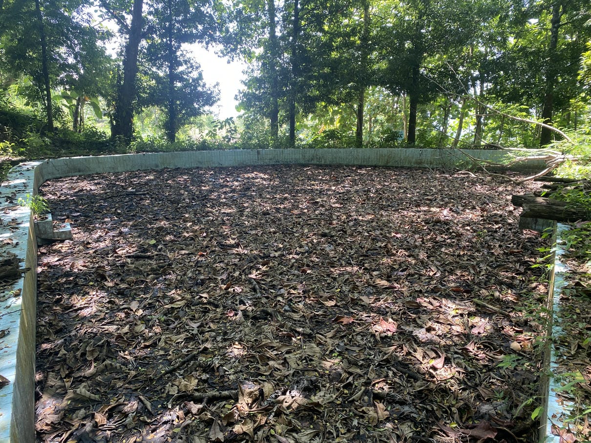 Sewa Aset Lahan Objek Wisata Sayuran Thumbnail 9