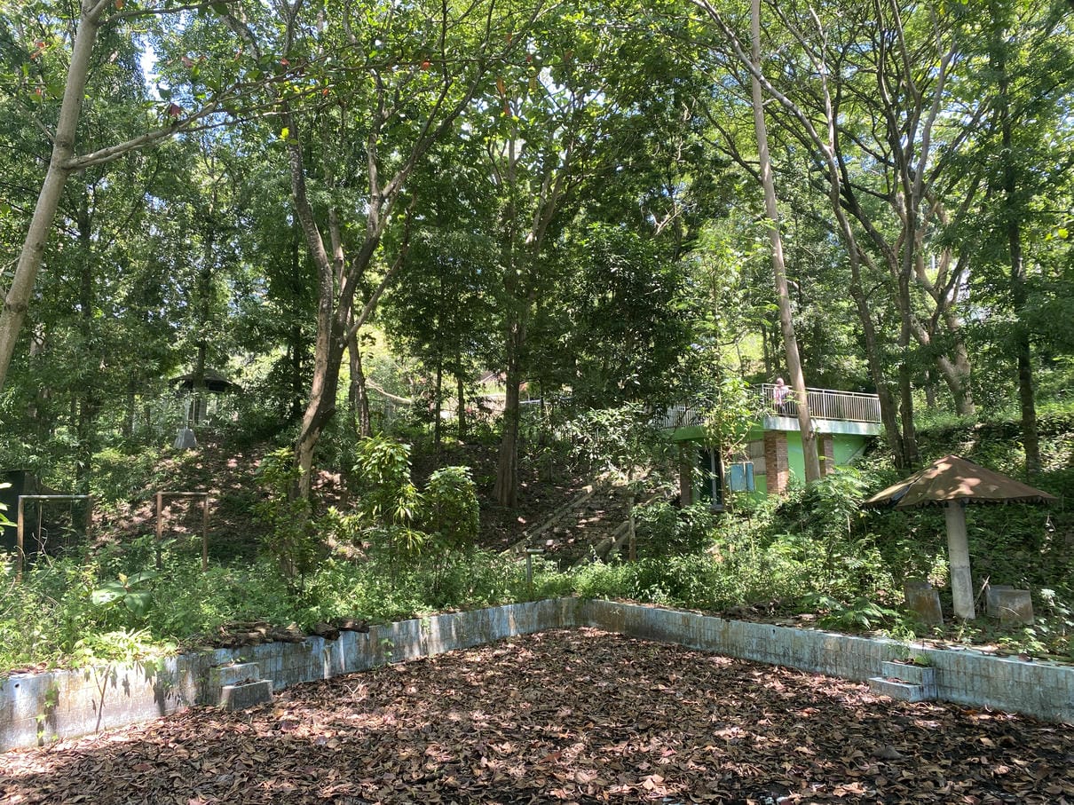 Sewa Aset Lahan Objek Wisata Sayuran Thumbnail 10