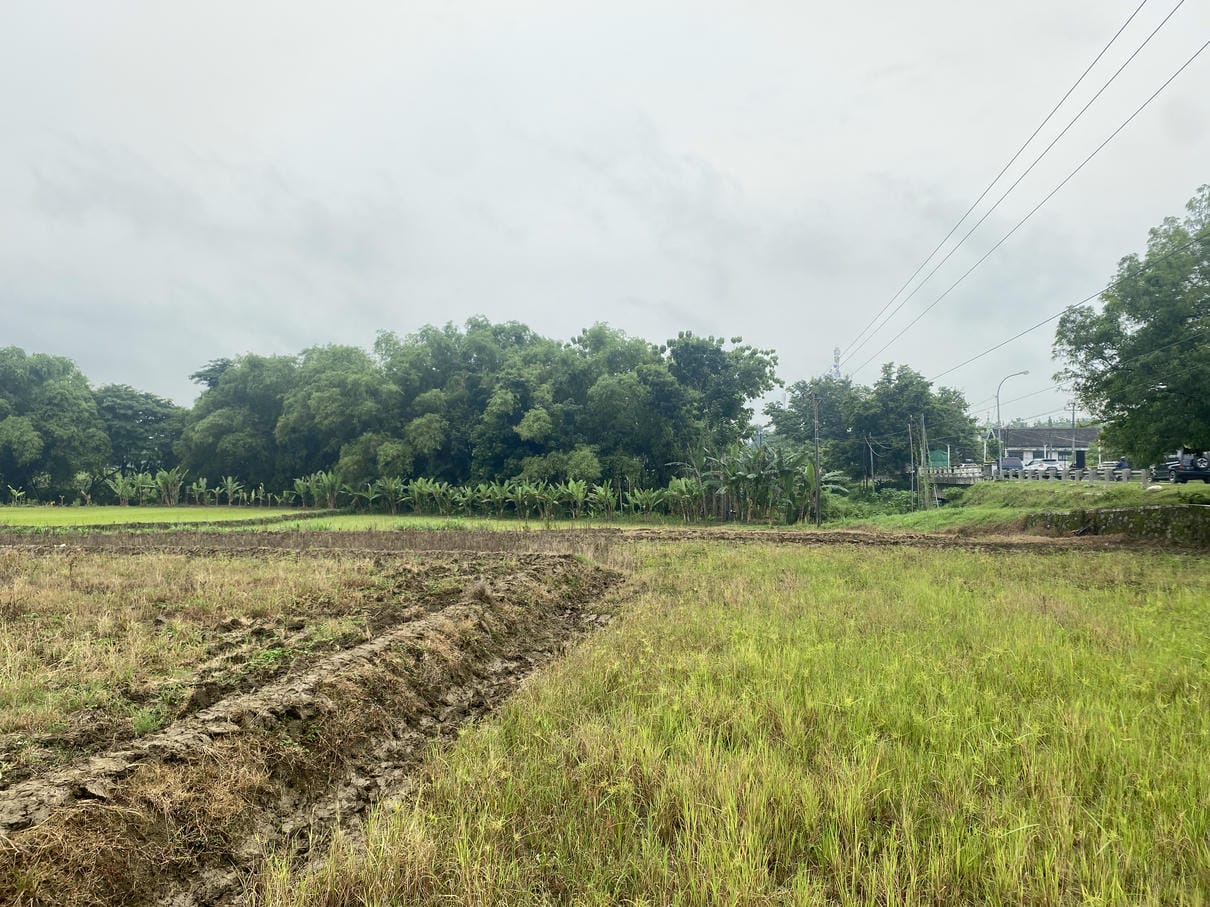 Sewa Aset Lahan Pertanian Adirejo - Foto 4