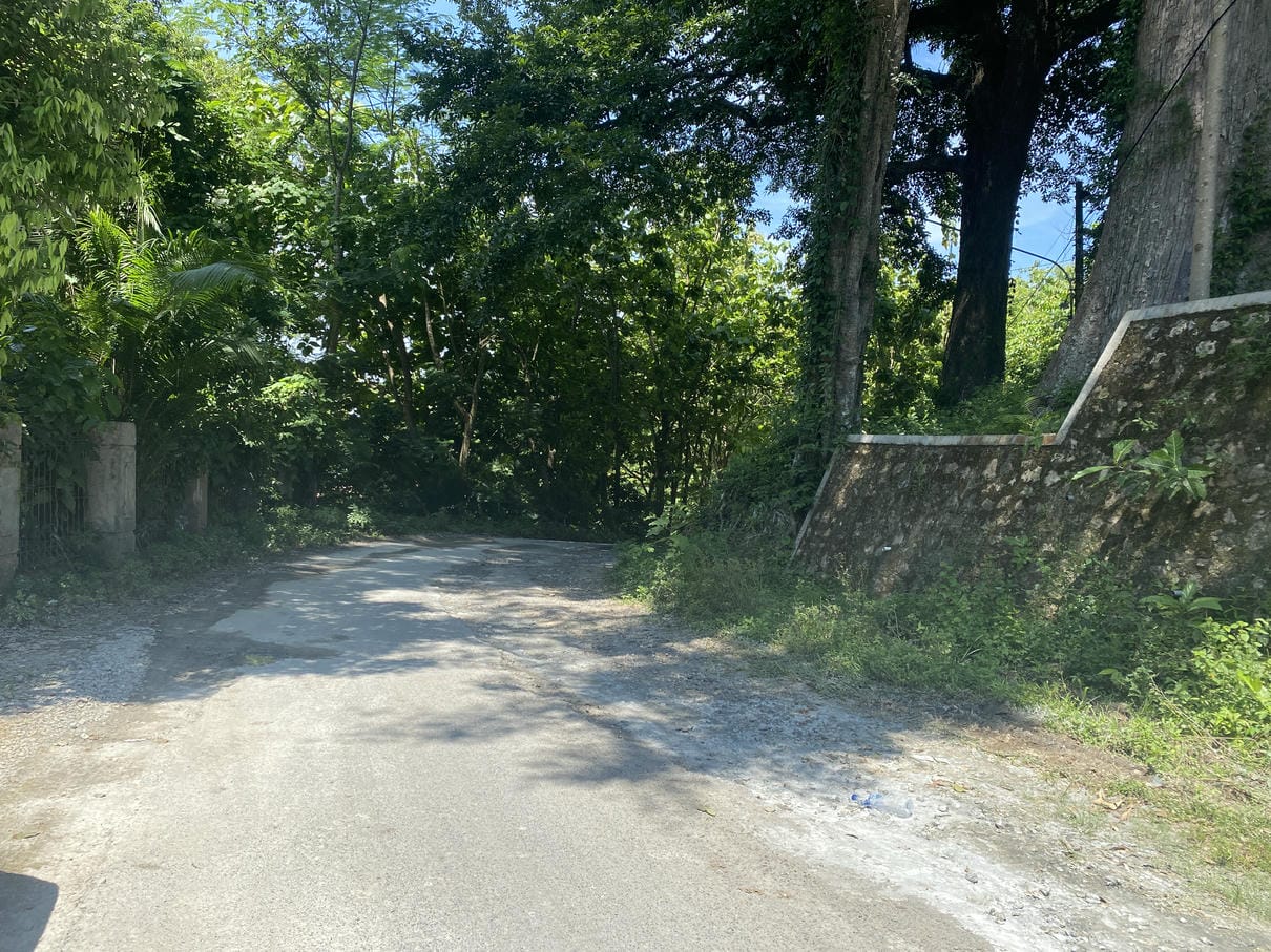 Sewa Aset Lahan Objek Wisata Sayuran Thumbnail 6